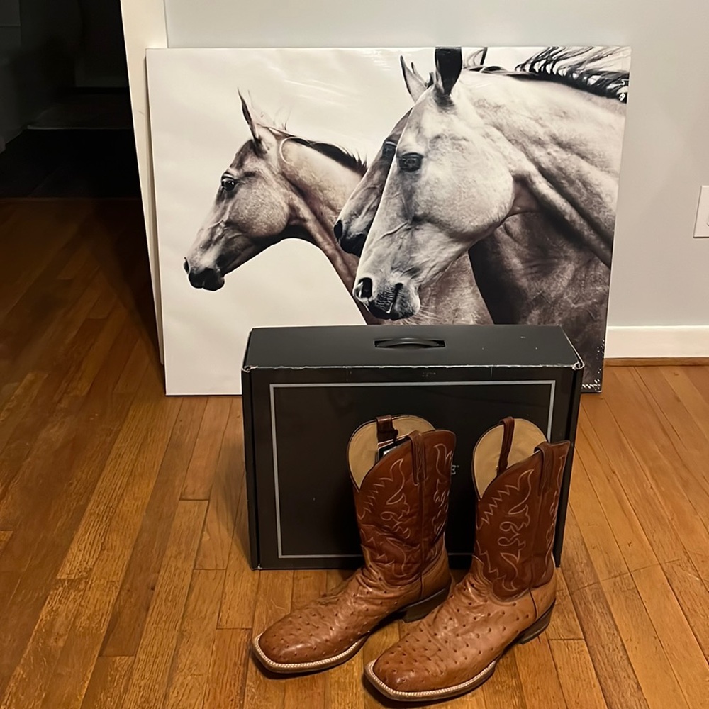 Lucchese's Rowdy 
Color: Cognac
Shaft: Cowhide 12"
Vamp: Full Quill Ostrich